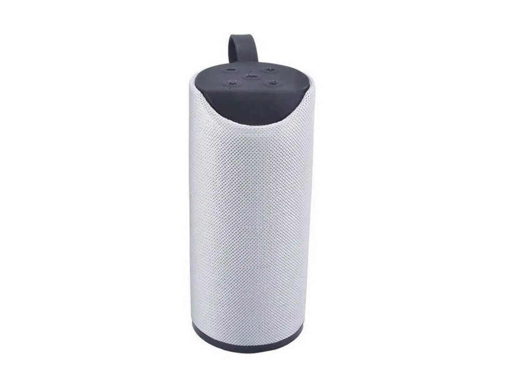 اسپیکر تی اند جی Tg-113